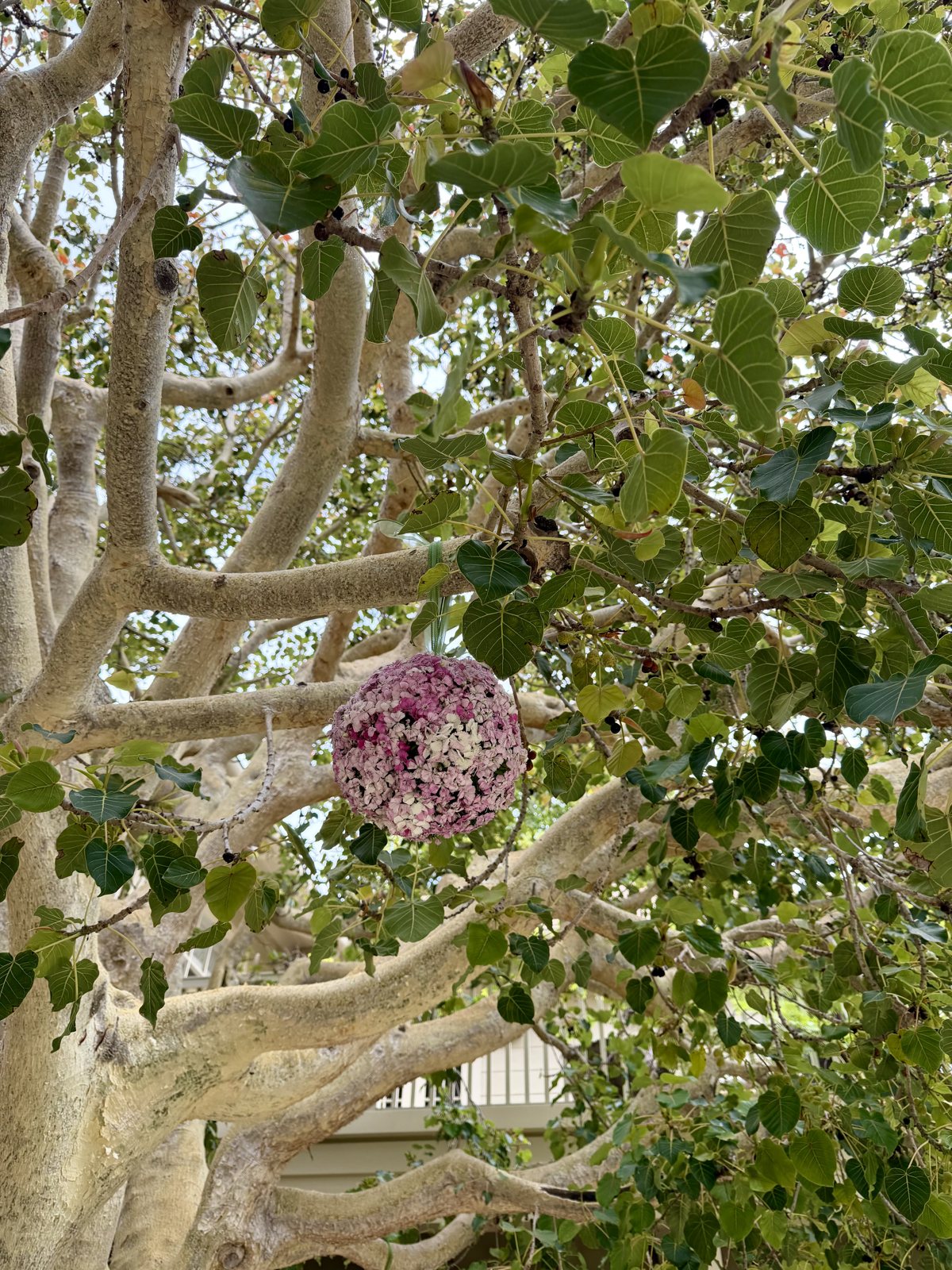 Hanging floral sphere among branches