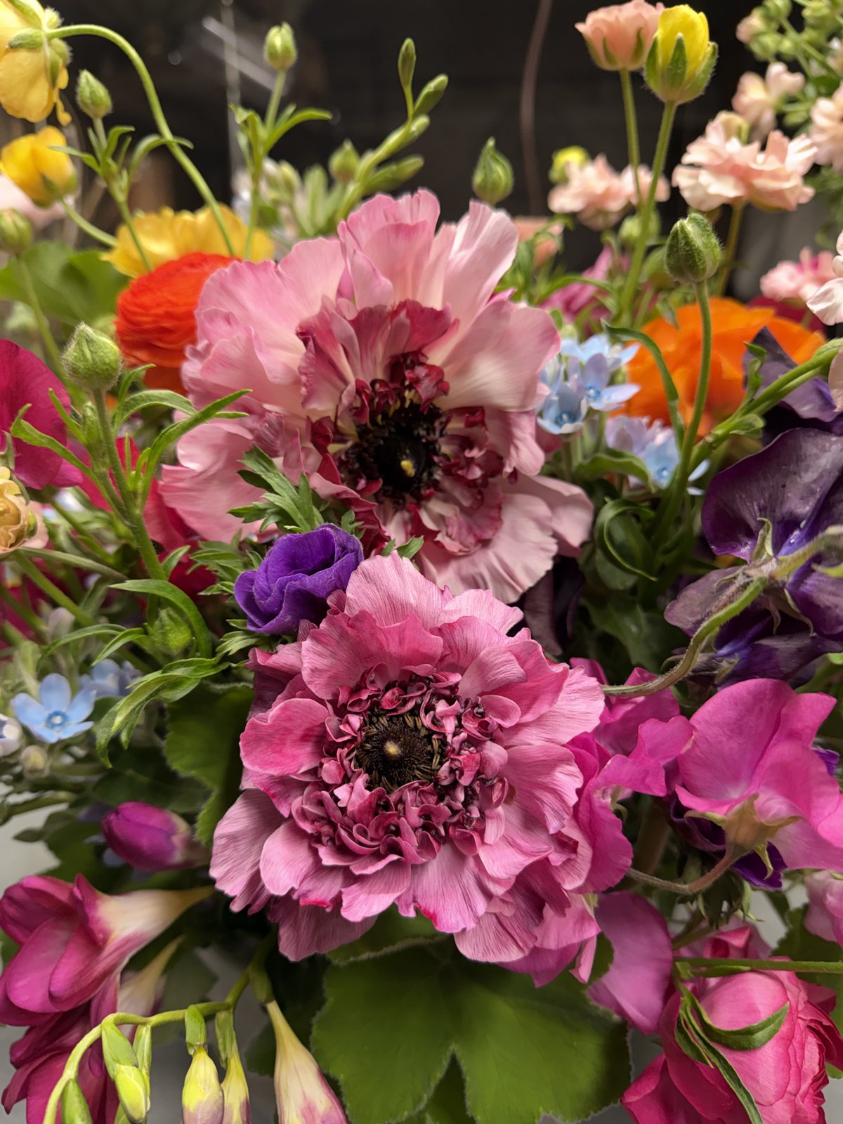 Anemones and ranunculus, up close