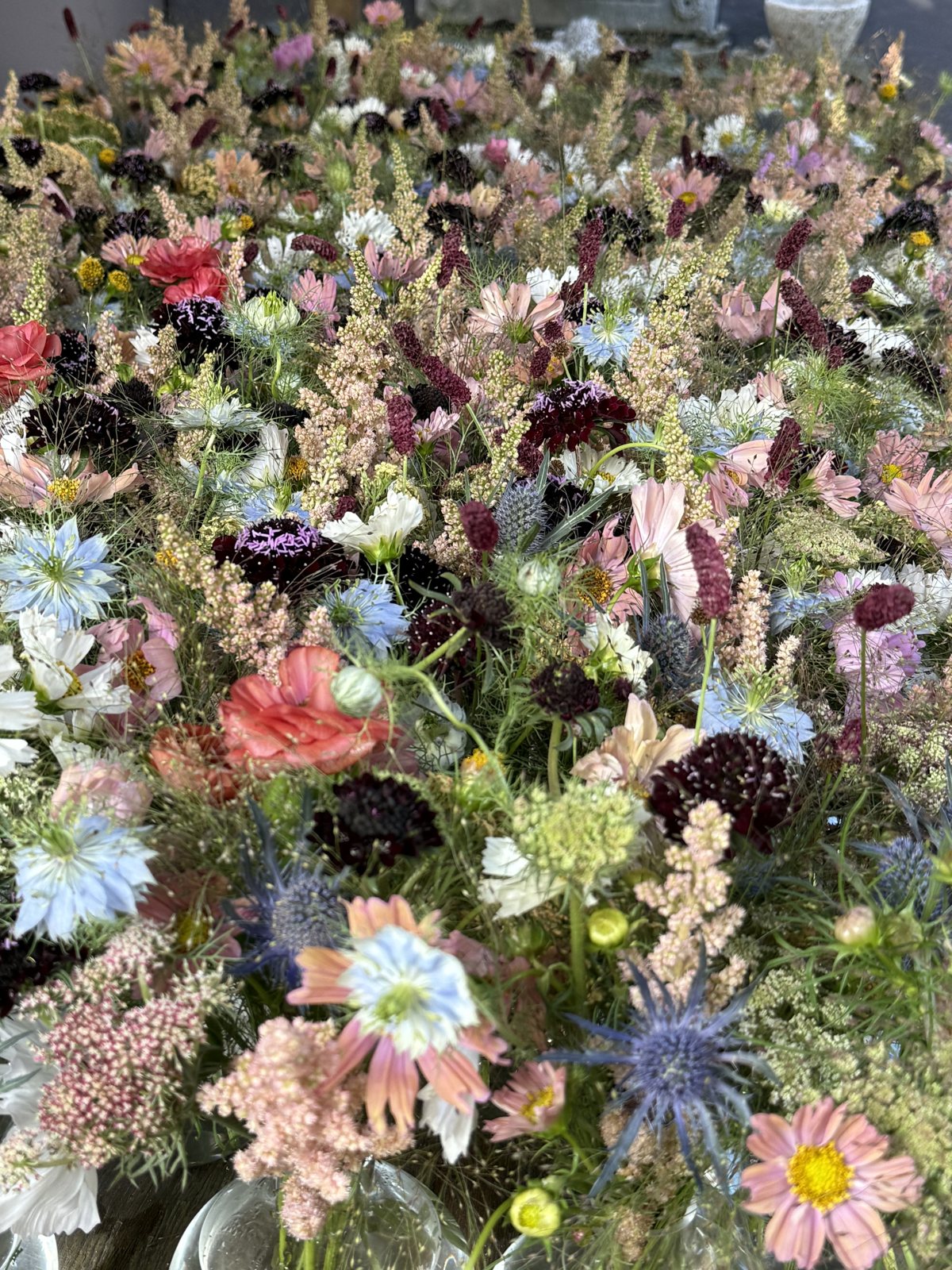 A meadow of bud vases — cosmos, nigella, and scabiosa