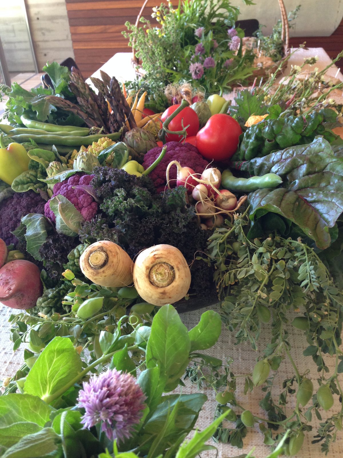 An edible tablescape of heirloom vegetables, chard, and chive blossoms